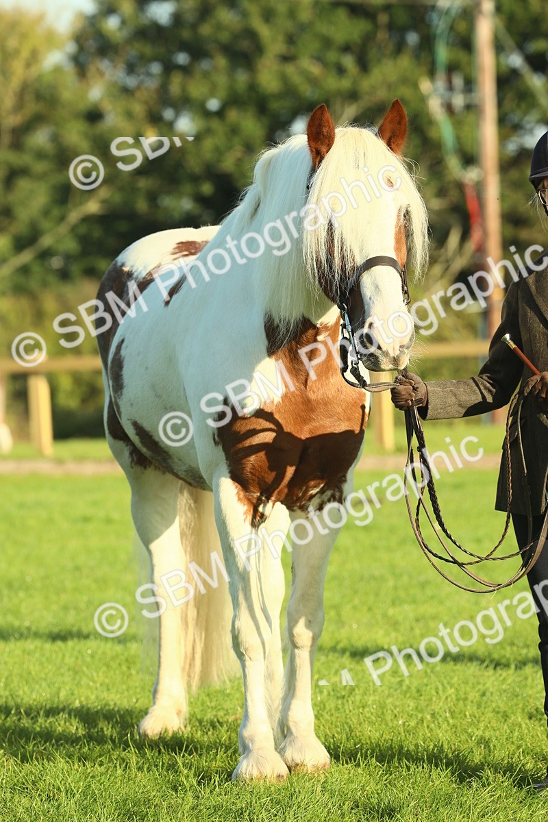 SBM_57471 - S37 - Starters In Hand Showing