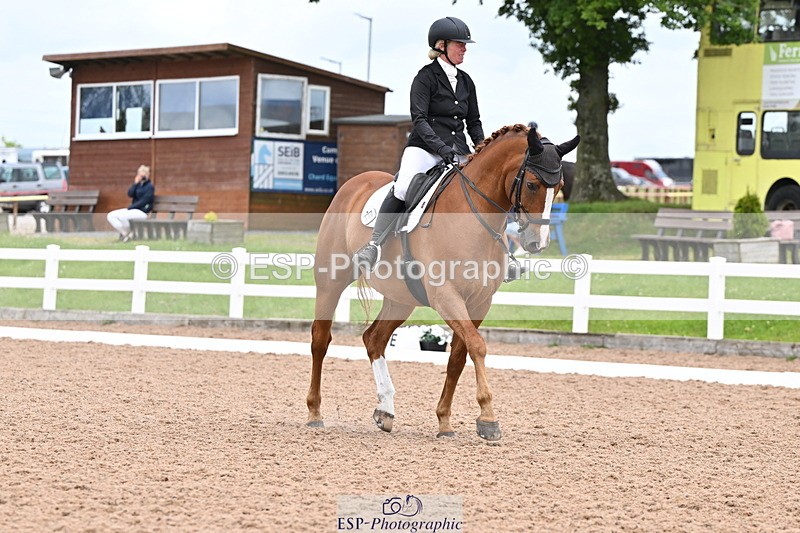 240622A-130851-10476 - Cls 29 BD Elementary 45