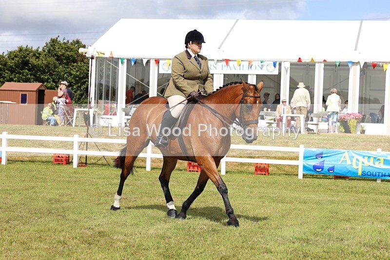 3E7A9421 - Class 4: Rising Star M/H Hunter