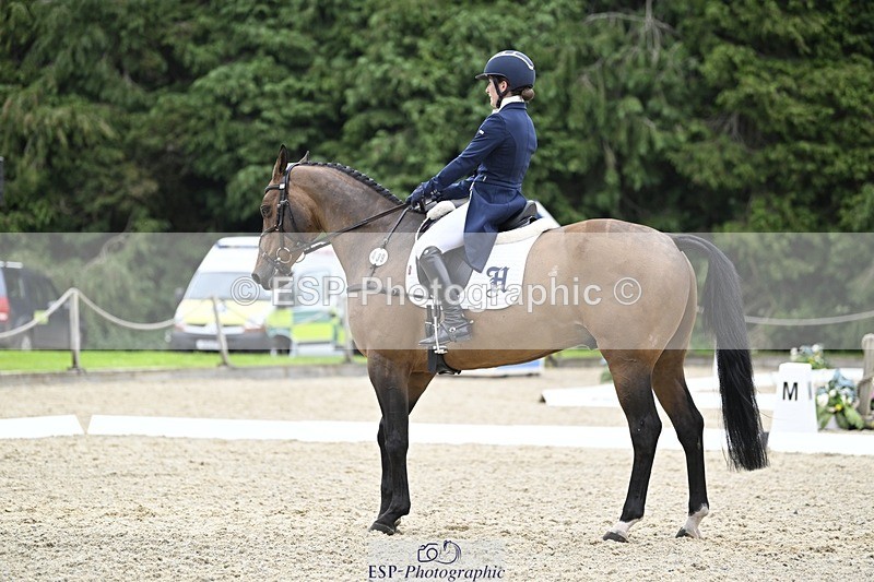 240523-154119-05295 - 439-HILDARE_EASTON_D'ECLIPSE-Danielle_Mccormack