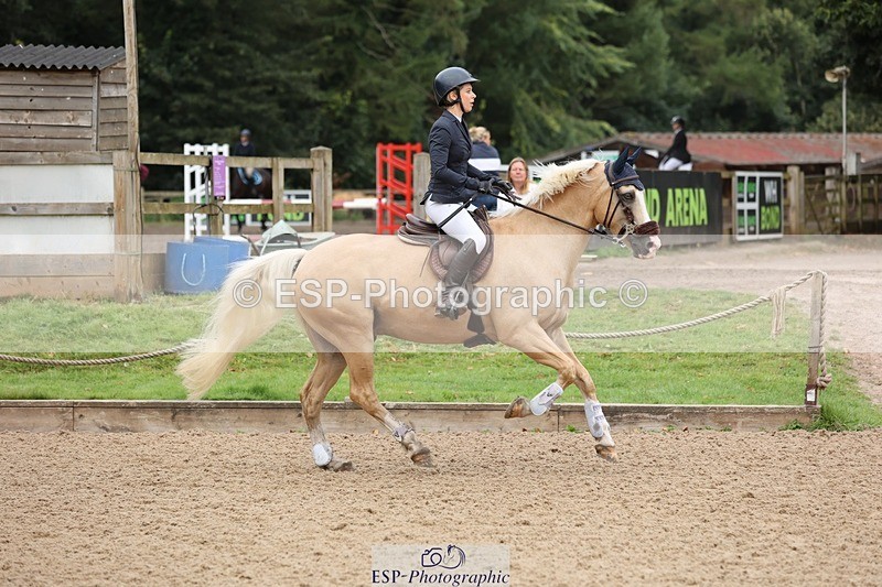 240817-083520-00067 - 01. Clear Round - 80cm