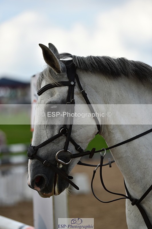 230902A-164416-02152 - Cls 4B Pony Big 1.05m