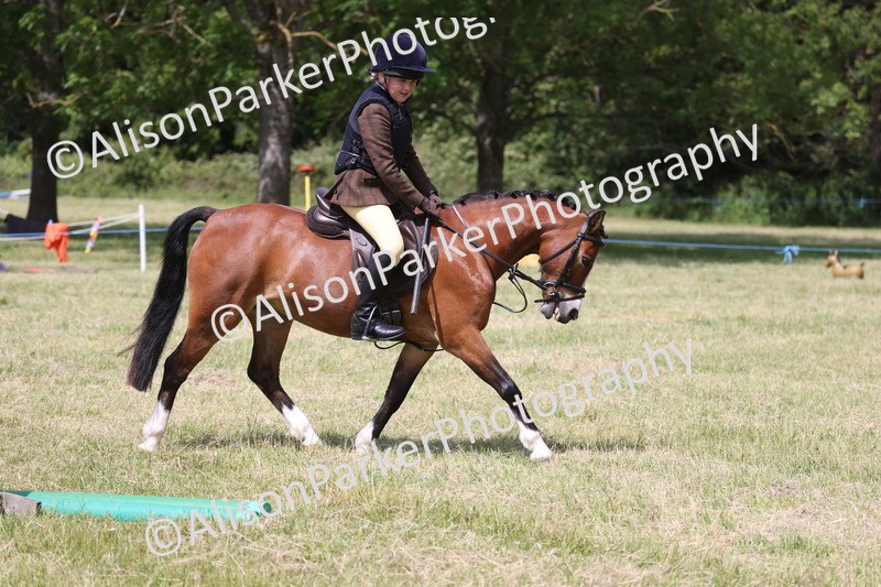 20260614-1764 - Class 21 - Novice Working Hunter Pony