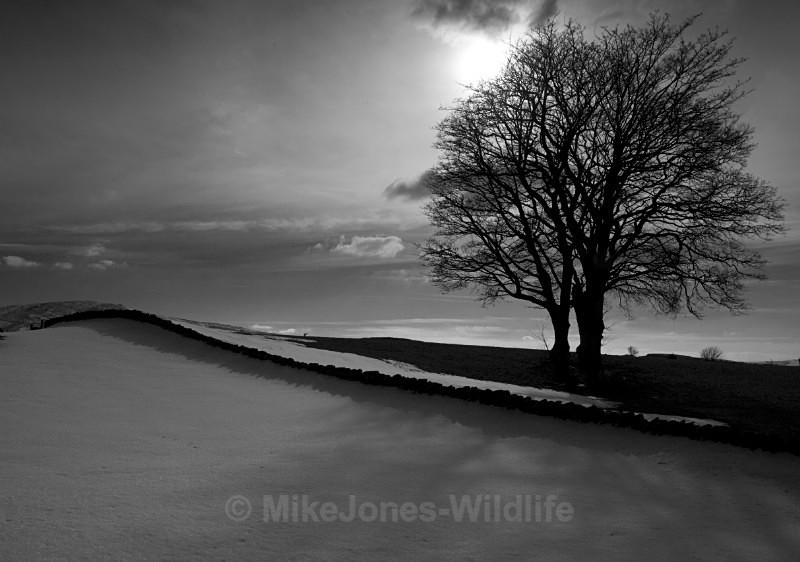 Winter Landscape, North Wales - ANGLESEY @ NORTH WALES LANDSCAPE PHOTOGRAPHY