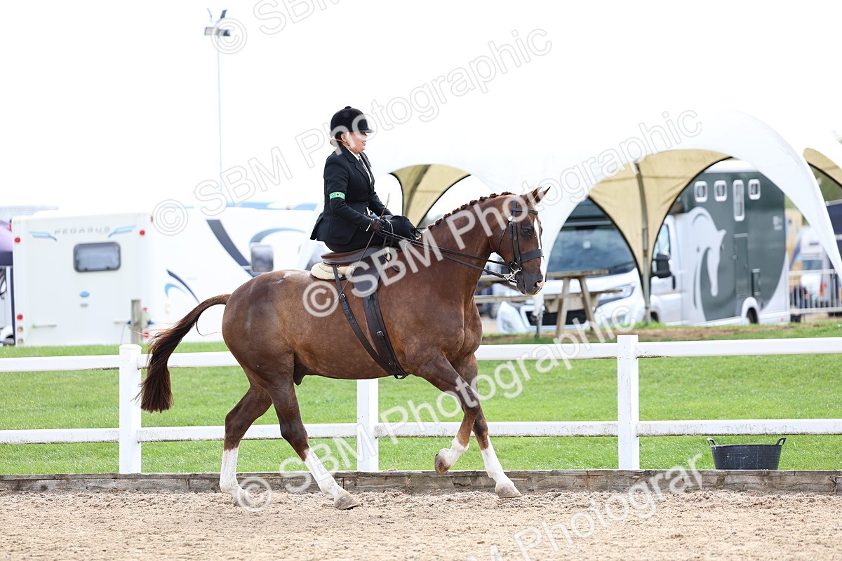SBM_03306 - Class 23 - SSA Classical (any age)