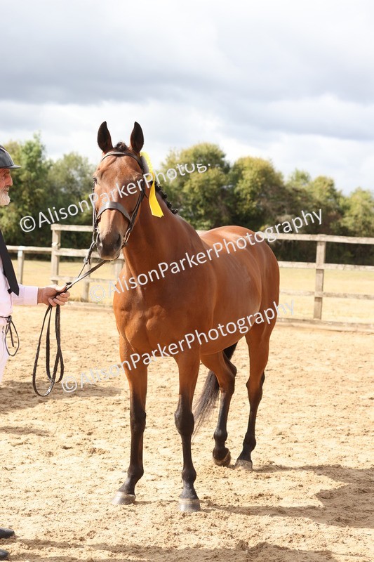 20260831-1992 - Class 5 - Retraining of Racehorses