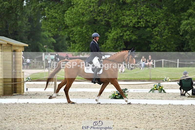 230525-125032-02039 - 111-CREEVAGHSTABLES_IFICUDIWUD-Tim_Cheffings-WEDTrotUp+DR