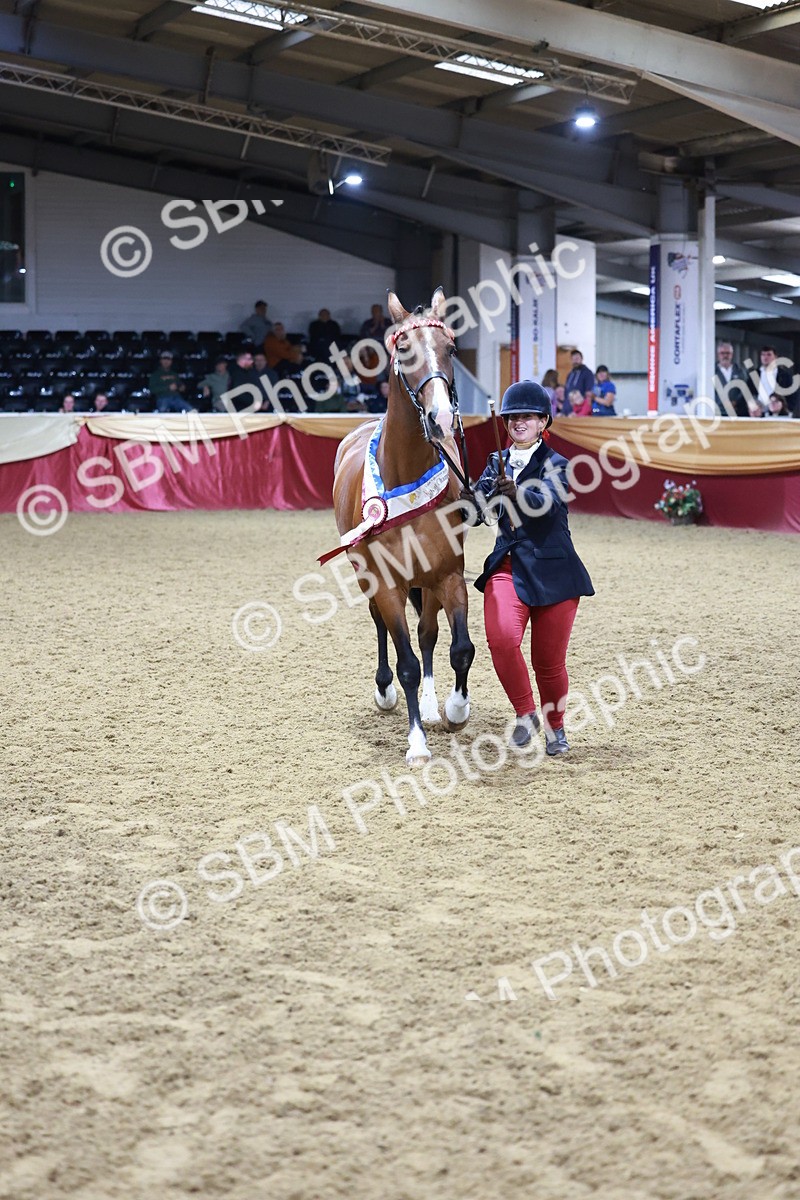 SBM_20157 - Class C - Novalty Champ