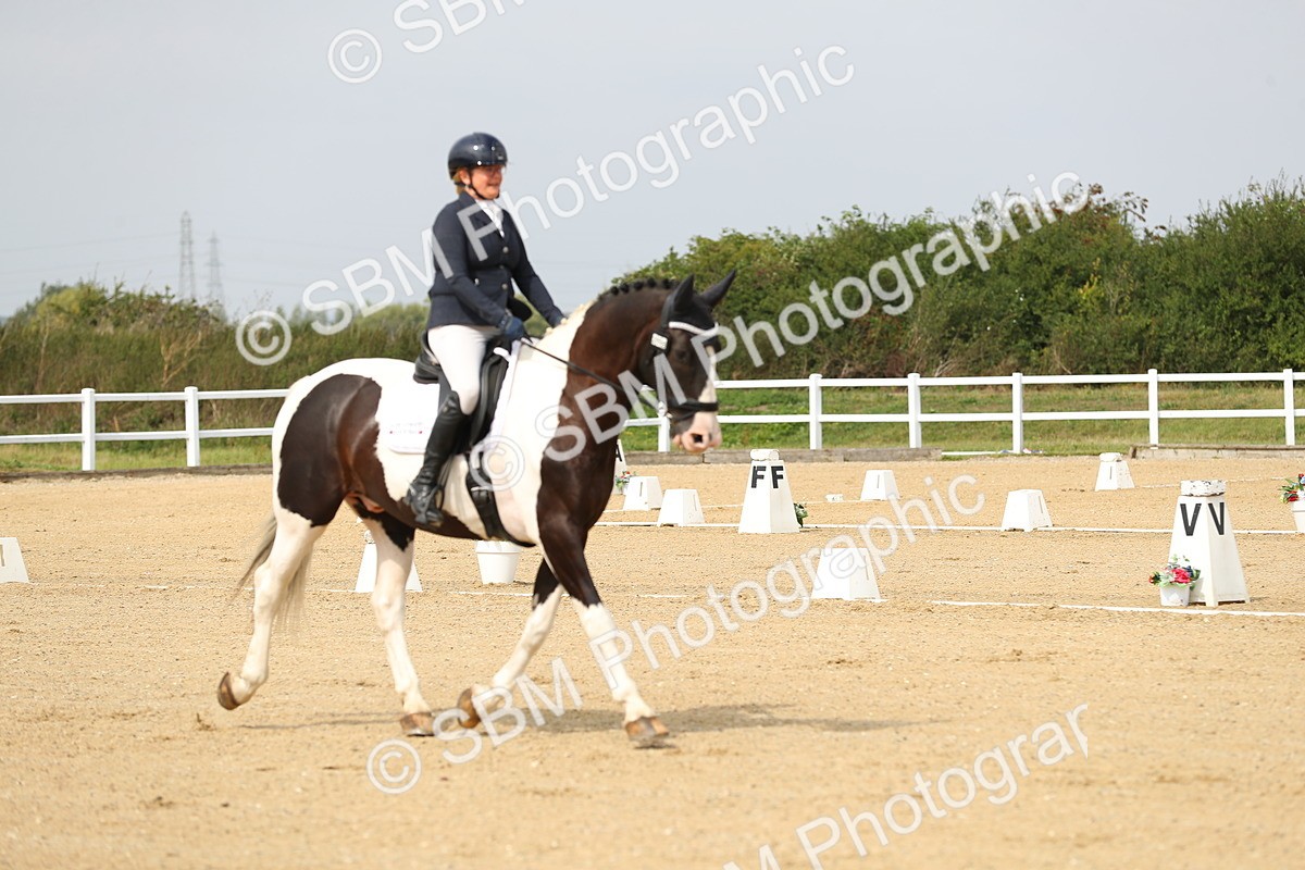 SBM_017259 - Class 13 - Novice 23 - 13.31-14.13