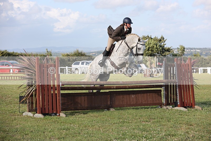 JPP_3405 - Class 22: Working Hunter 90cm