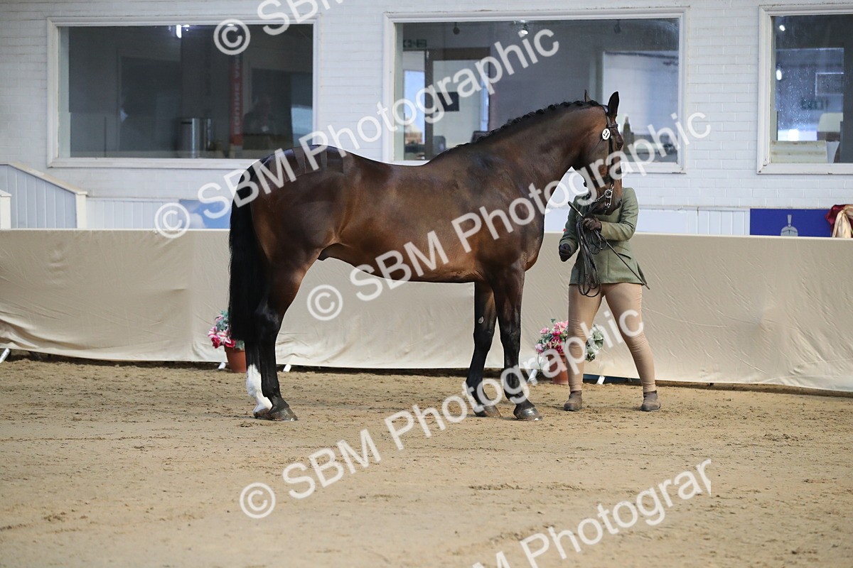 SBM_00536 - class 2a Area IH Veteran