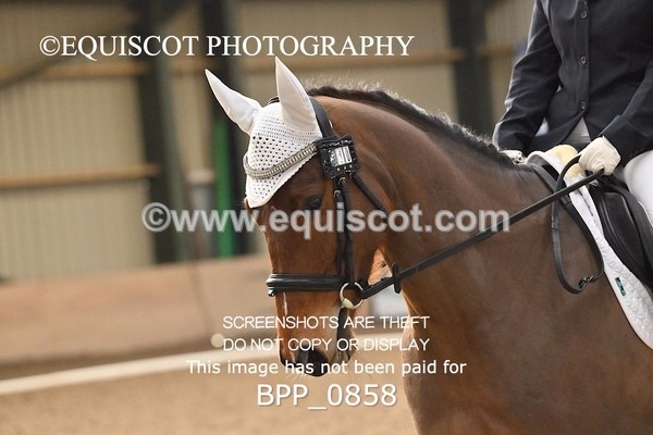 BPP_0858 - 10 - K MURDOCH
