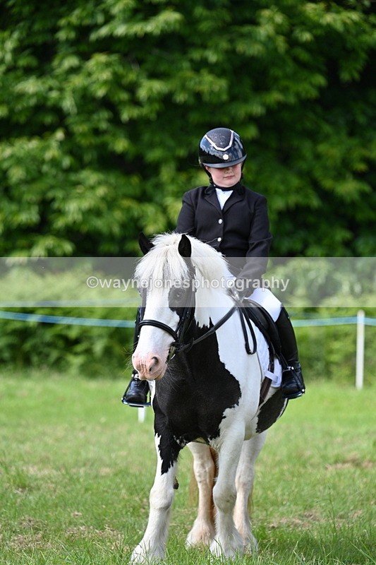 WJ7_0796 - Class 8 First Rally Pony