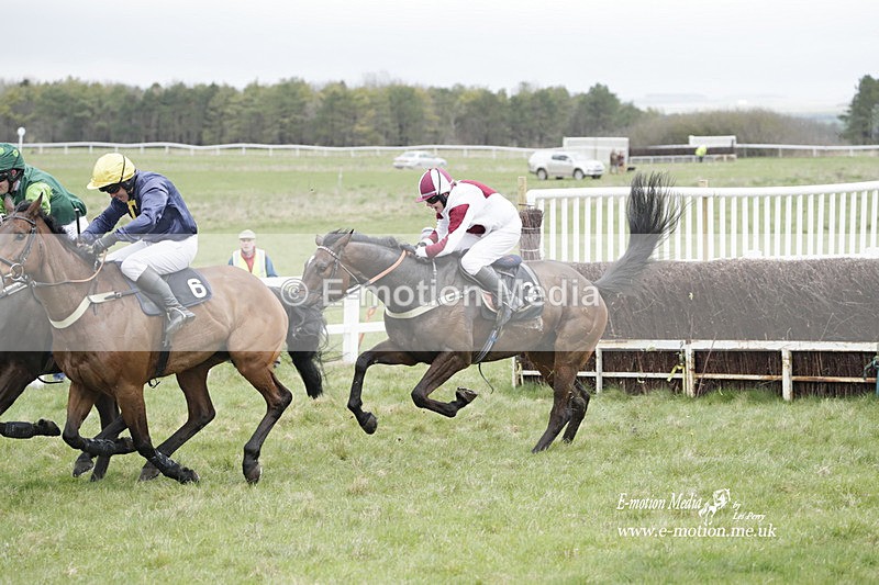 PtP 260323 0503 - New Forest Hounds Point-to-Point Larkhill 26/03/23