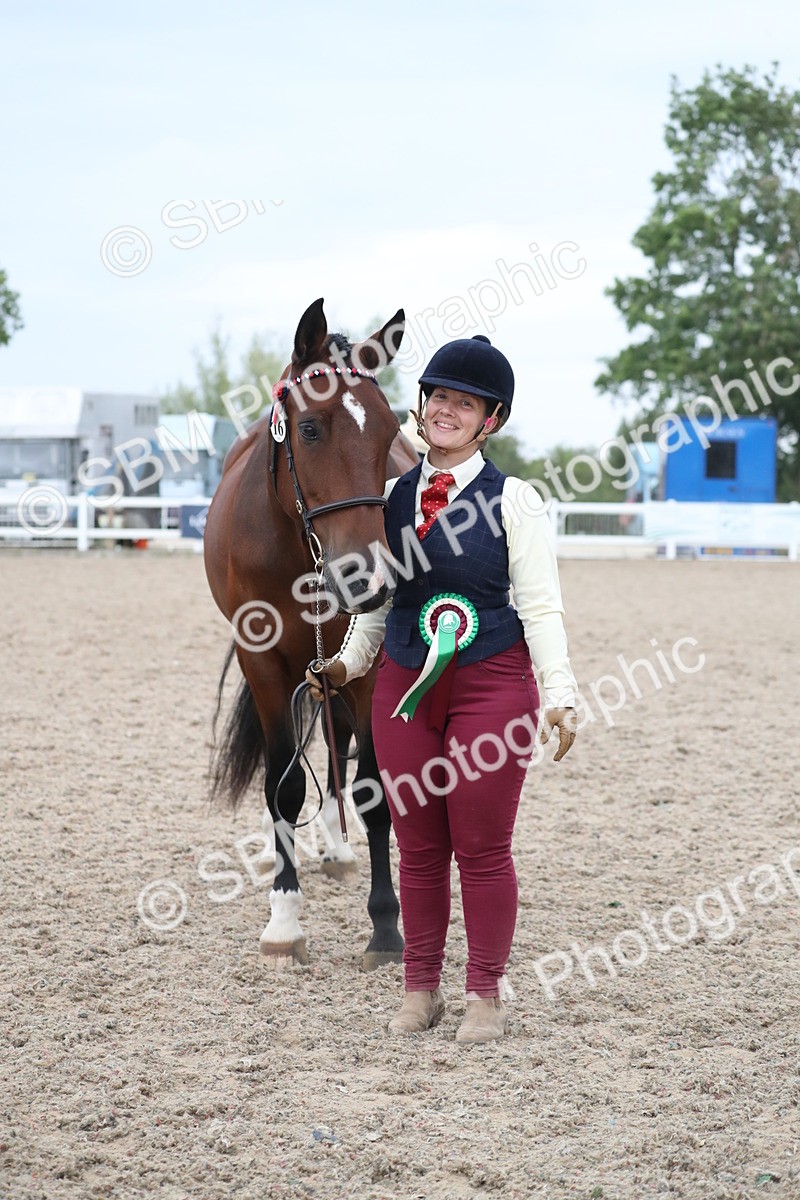 SBM_18419 - Class 318 IH Part bred Horse/Pony