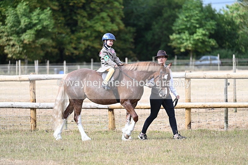 WJ7_6398 - Class 1 Lead Rein Pony