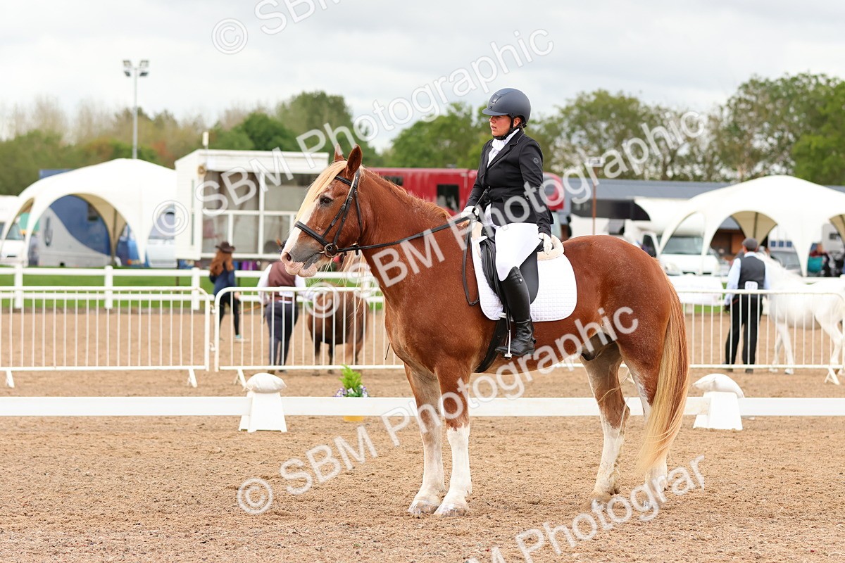SBM_00971