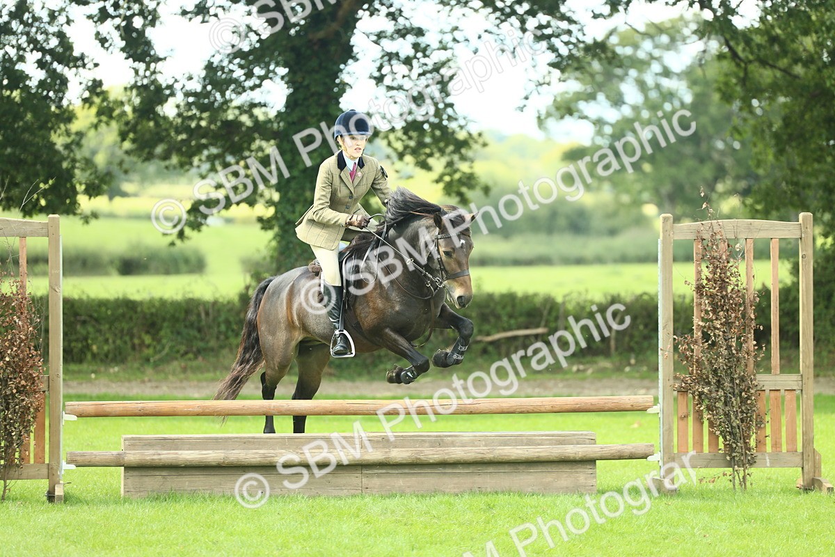 SBM_42904 - S30 - M&M Working hunter Pony
