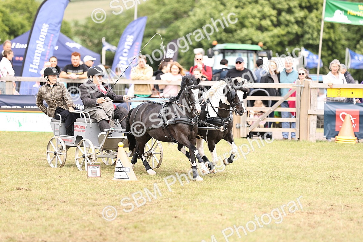 SBM_16076 - Class 91 - Scurry  exceeding 122cms