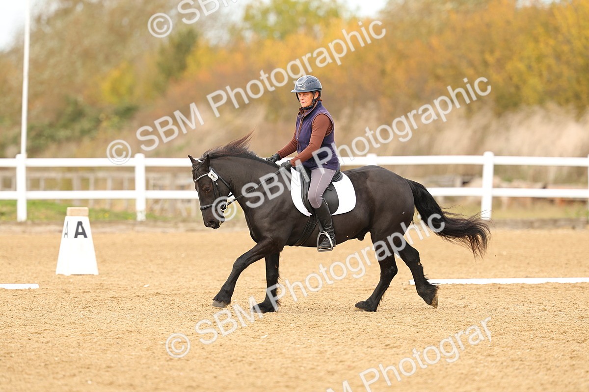 SBM_000694 - Class 3-12 - CT P2 60cm - DR P2