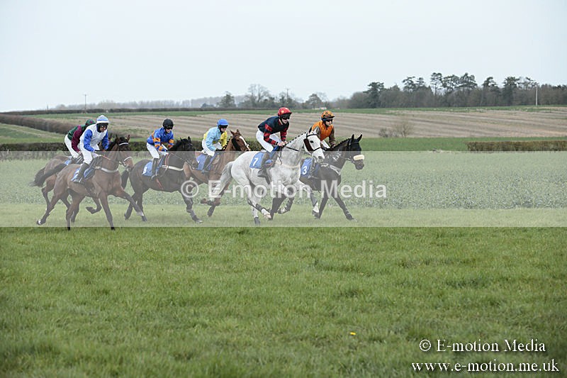 PtP 230319 83 - VWH Hunt Siddington Point-to-Point Racing 23/03/19
