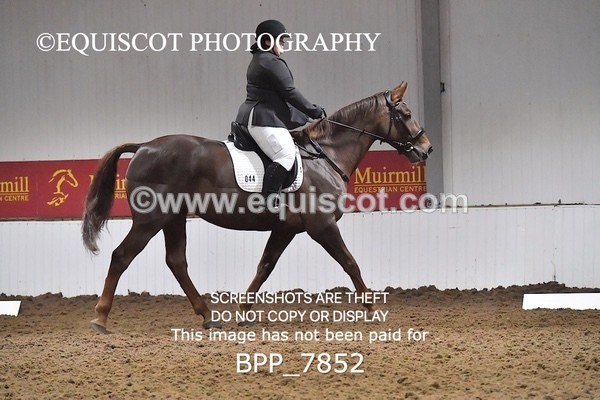 BPP_7852 - INTRO TEST 2