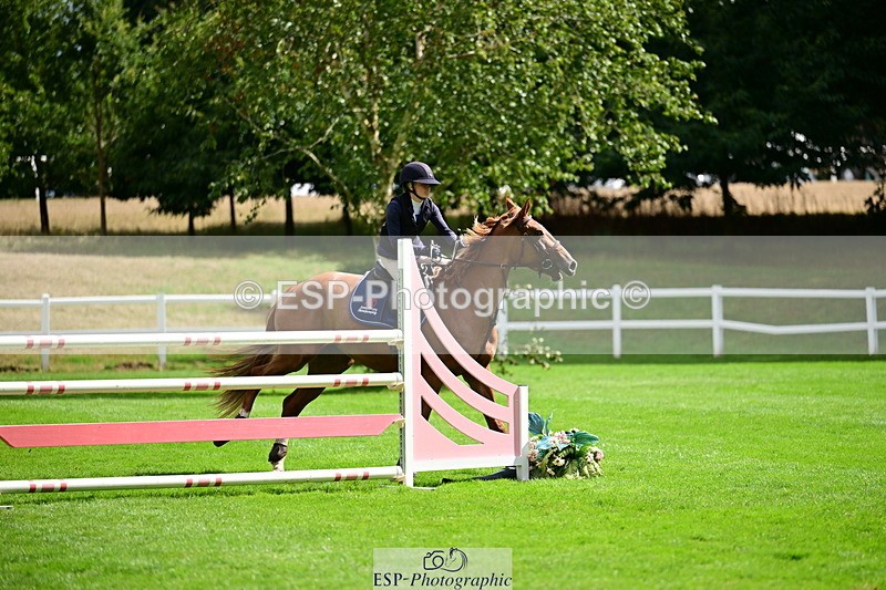 2026-08-21A-DSC_4486 - Cls 2 Snr Foxhunter