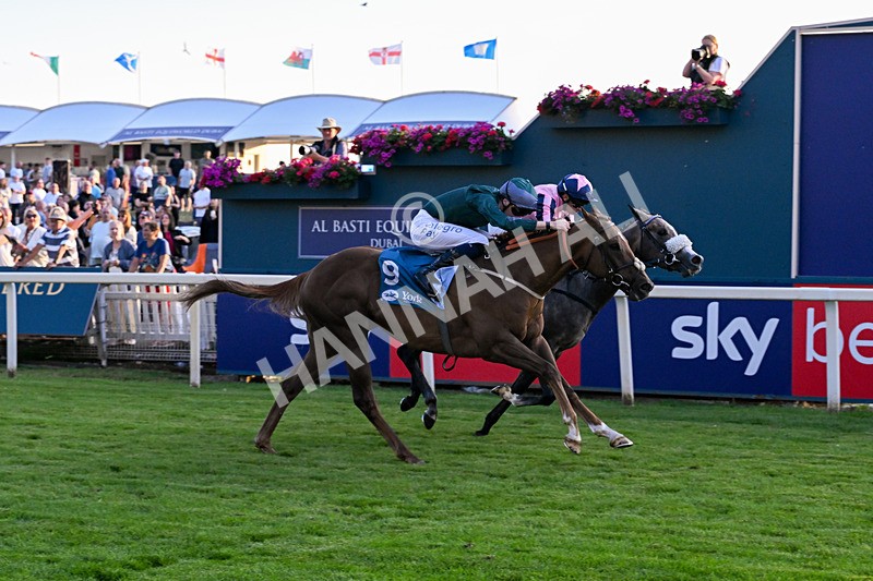 240726-Race 6-Explosive Finnish-5616 - Race 6 20.25pm Sky Bet Go-Racing-In-Yorkshire Summer Festival Handicap