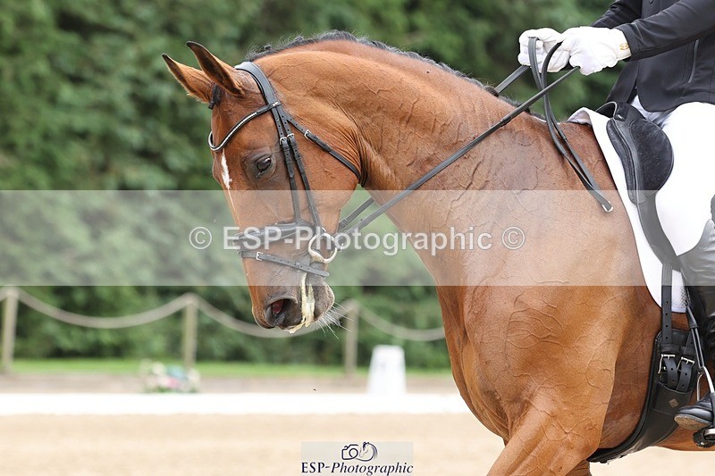 240810-134759-03505 - 178-Joe.Roome-Acqua.Marina.Della.Caccia