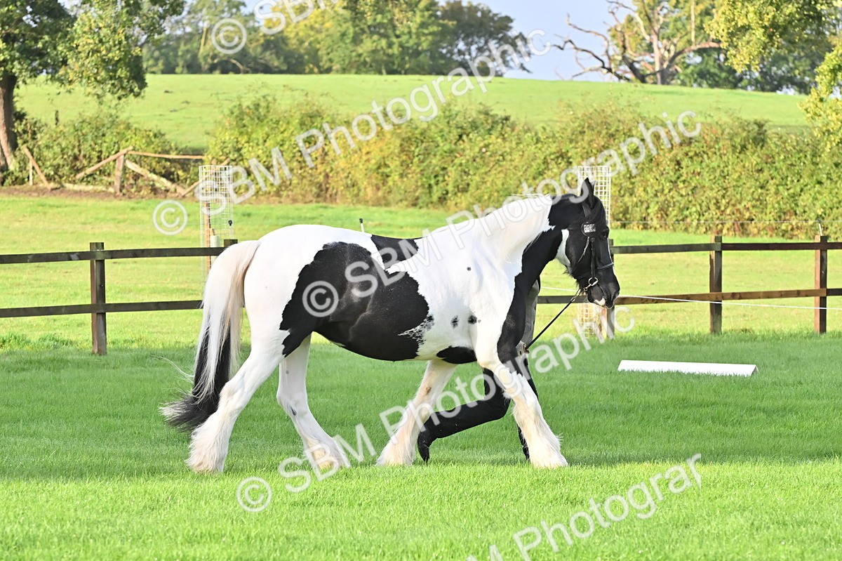 SBM_32602 - S15 - Top Turnout In Hand