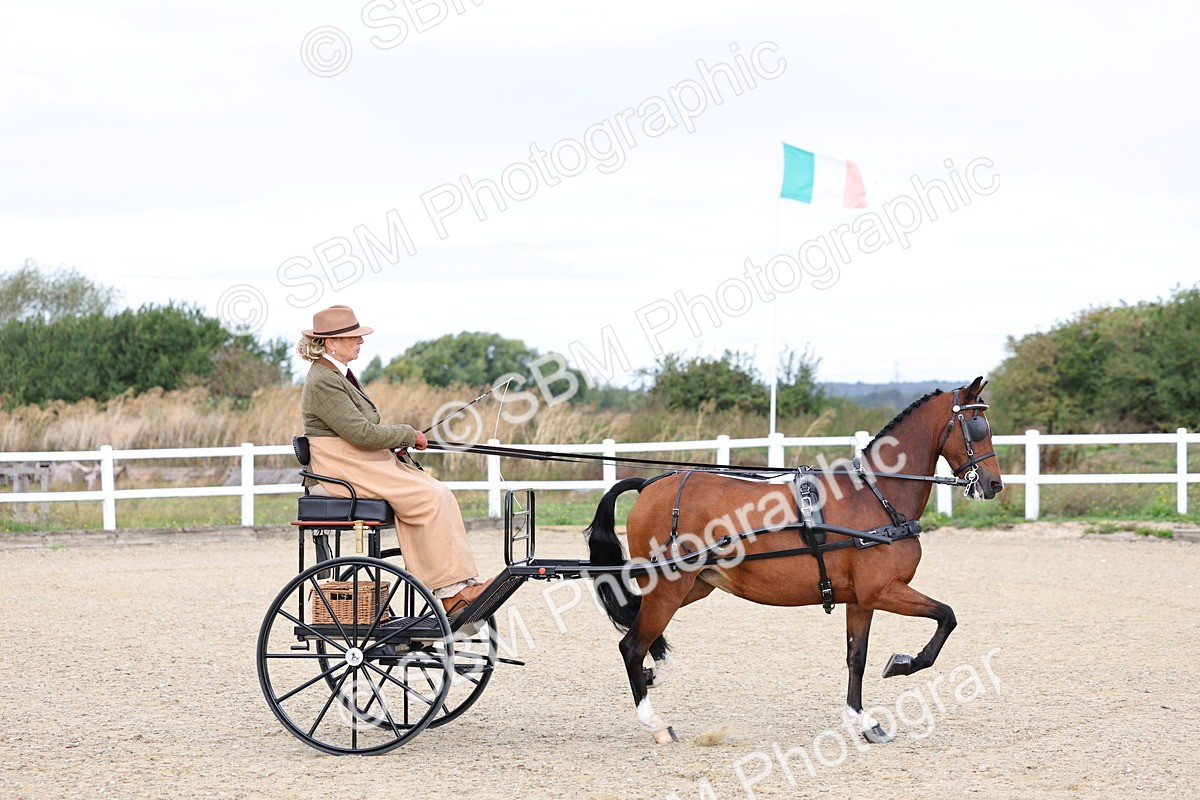 SBM_000240 - Class 2 - Exercise Vehicle 13.2hh & Under