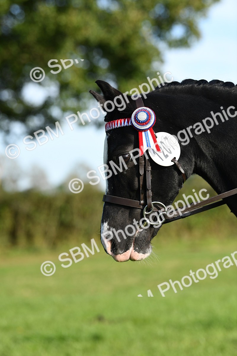 SBM_52408 - S22 - 1st Ridden Show & Show Hunter Pony