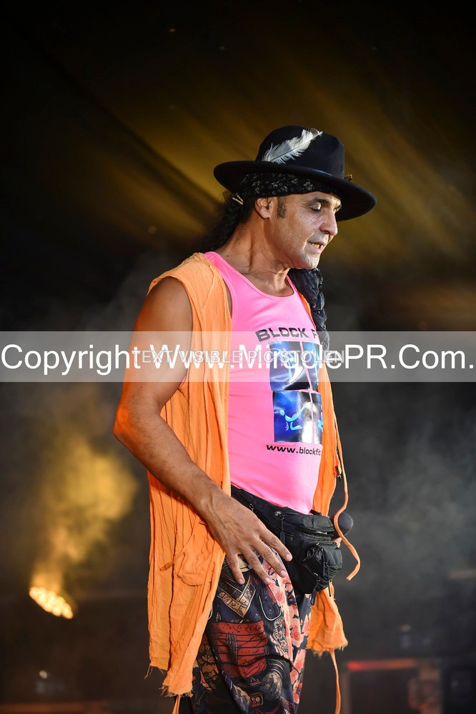 SH4_4359 - Chico