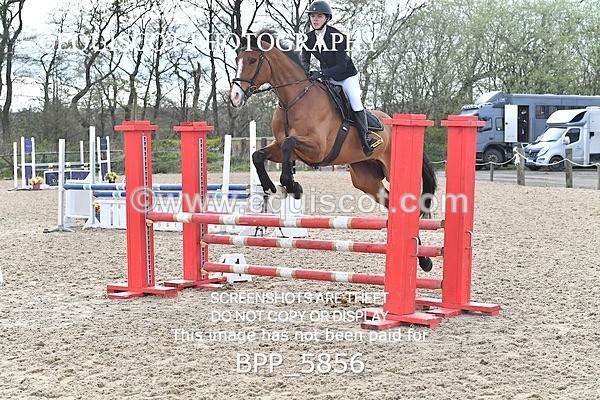 BPP_5856 - CLASS 24 SUN Senior British Novice/ 90cm Open