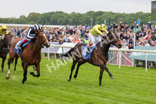 yr13052022r2-16 - Race 2 2.25pm Oaks Farm Stables Fillies' Stakes (registered as the Michael Seely Memorial Stakes)