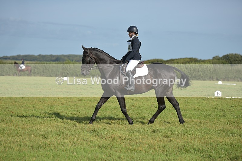 RAY_7422 - Class 2B: Trekenning Open: Dressage