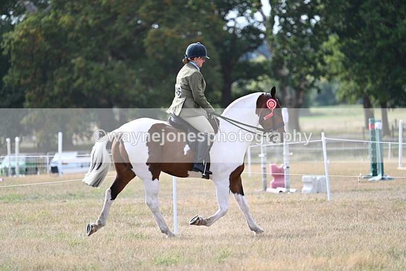 WJ7_7712 - Ridden Championship