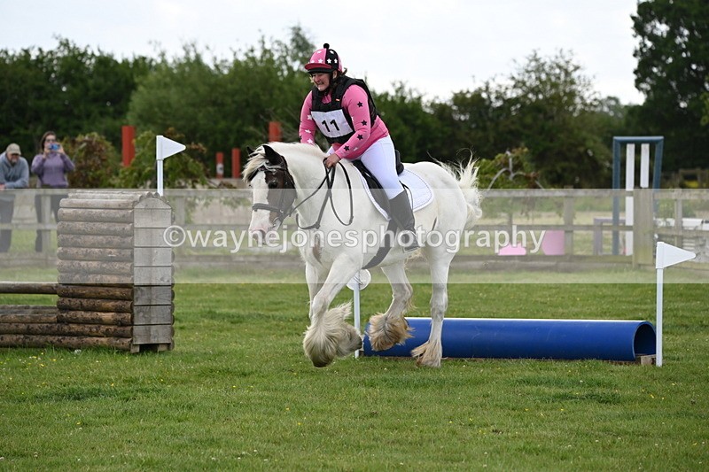 WJ6_2539 - Class 2 40cm