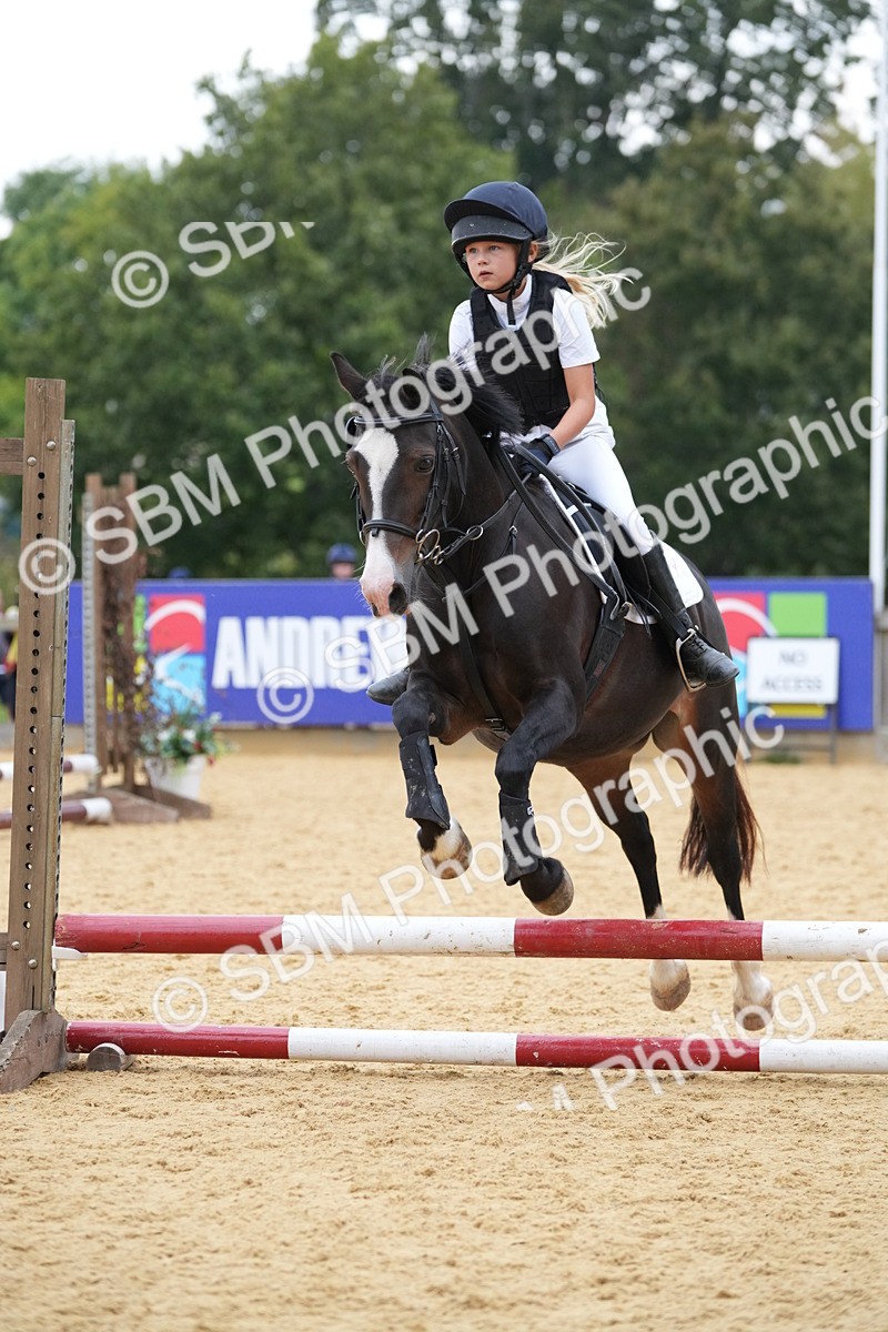 SBM_74599 - J4 - Mini Tour Junior Pony 45cm Championship