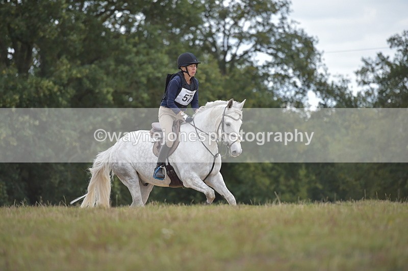 NGP_2218 - XC Time 11:20 to 11:36