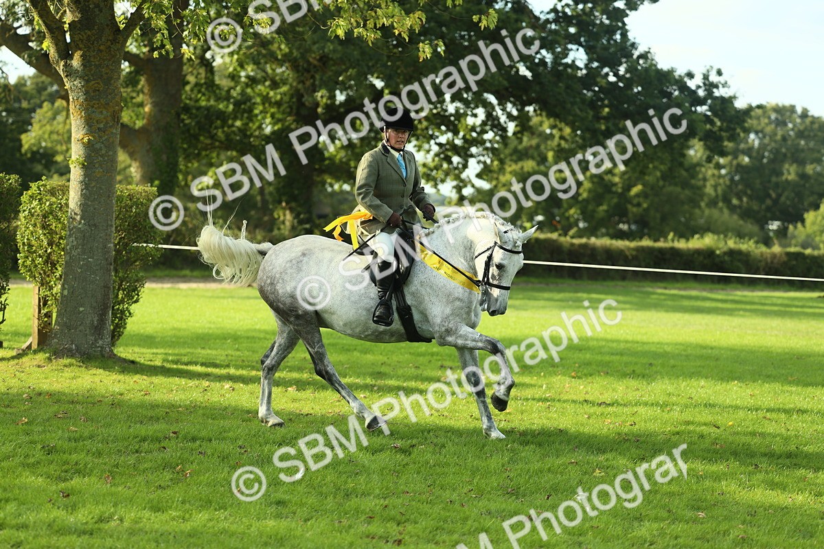 SBM_52271 - Working Hunter Supreme Championship