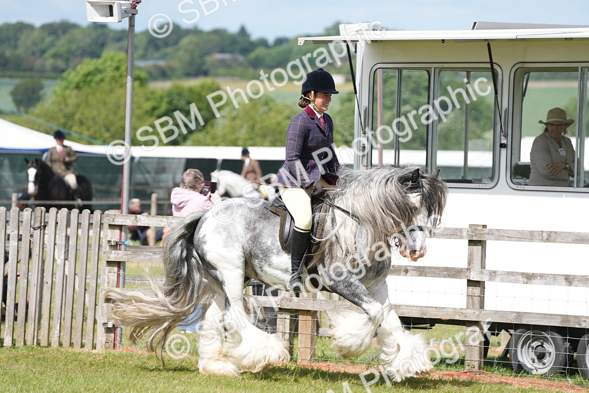 SBM_17136 - Class 107-108 - LIHS BSPS Performance Coloured Horse Pony