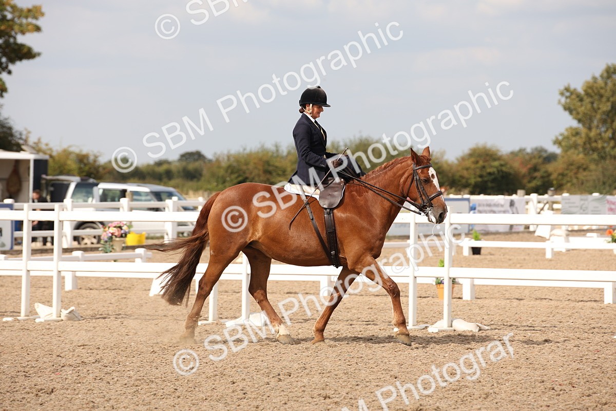 SBM_06706 - Class 24 Concours d'elegance
