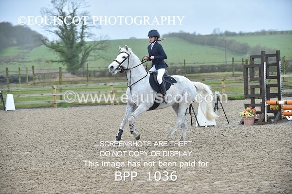 BPP_1036 - CLASS 1 Club/ Unaffiliated 60cms Open