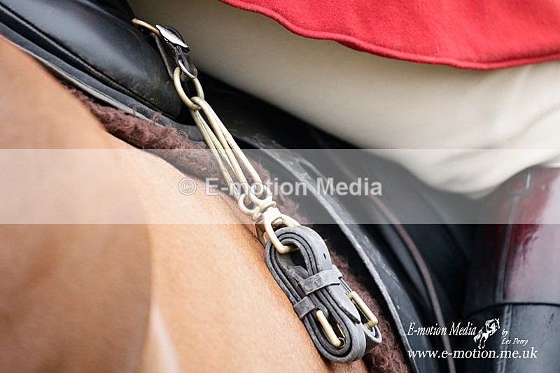 PtP 200316 234 - Equestrian