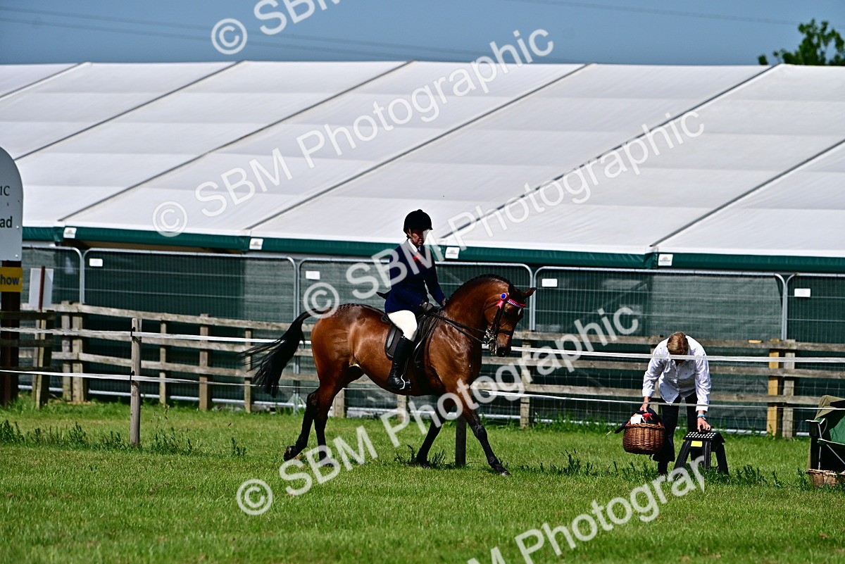 SBM_03783