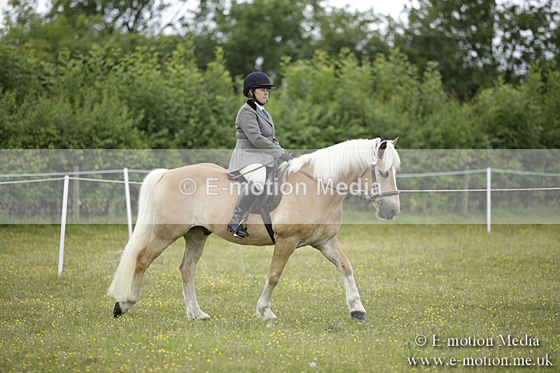 BVR160717-1498 - Ring 1 BVRC Show 16/07/17