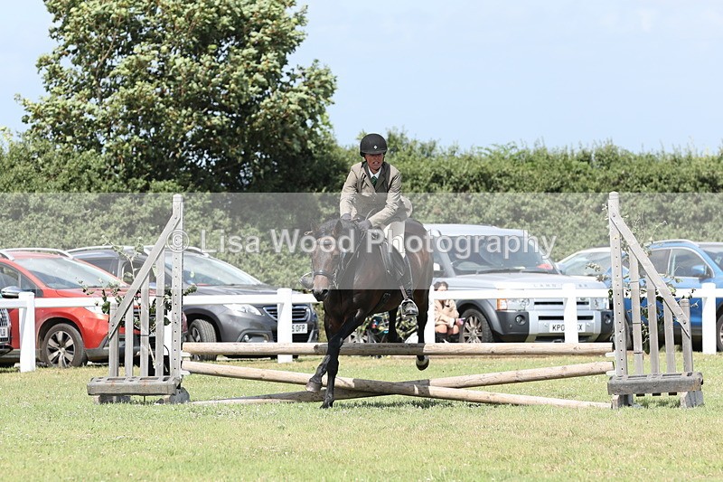 JPP_2169 - Class 19: Working Hunter 60cm