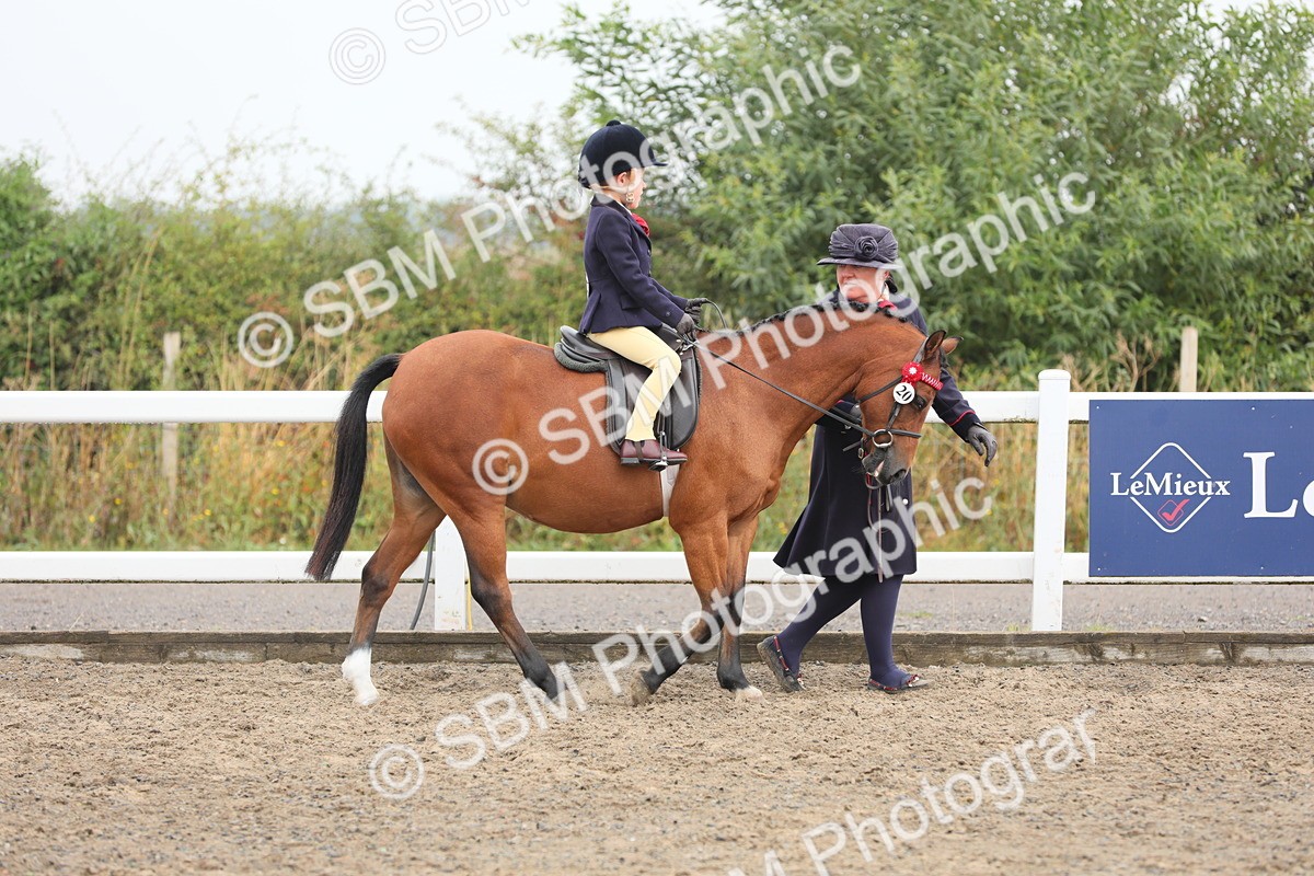 SBM_21696 - Class 806 - Young ridder 10 Yr & Under