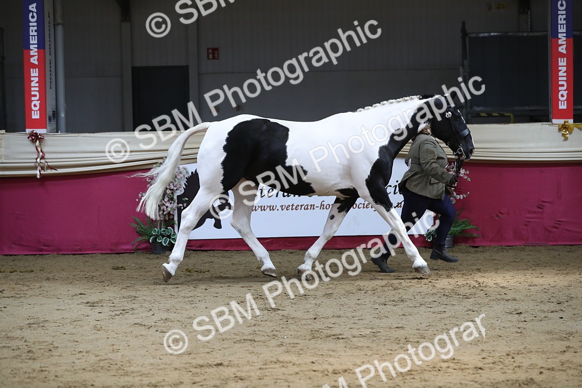 SBM_06249 - Class 9R Regional- IH Pre Vet